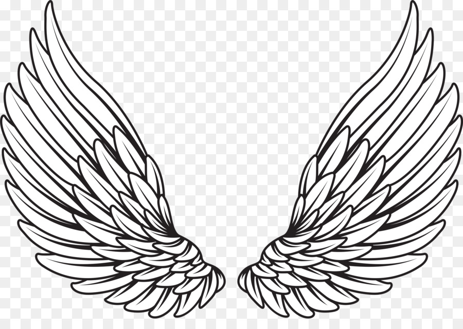 Drawing Royalty-free - wings angel png download - 1920 ...