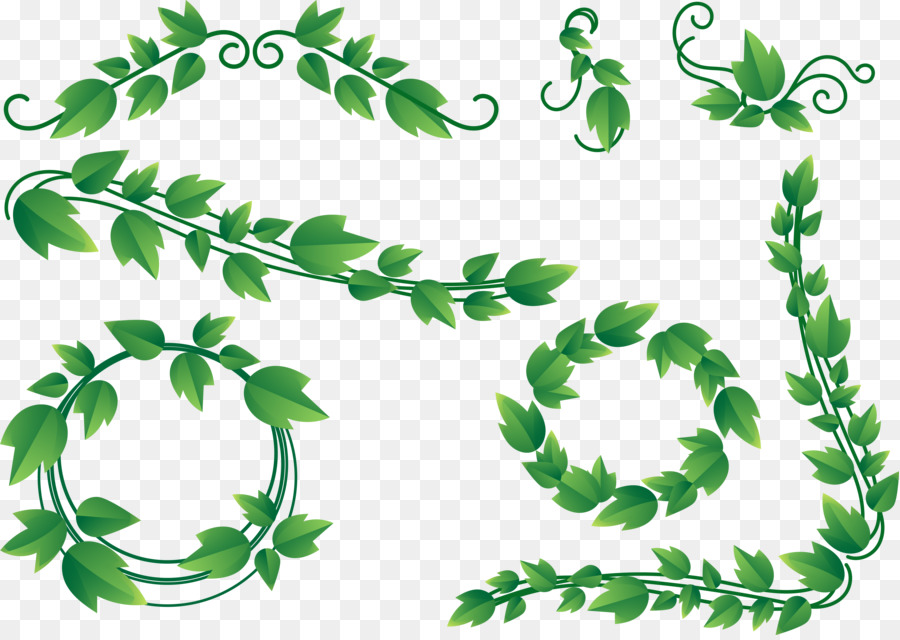 Download Vine Ivy Clip art - leaf frame png download - 5040*3558 ...