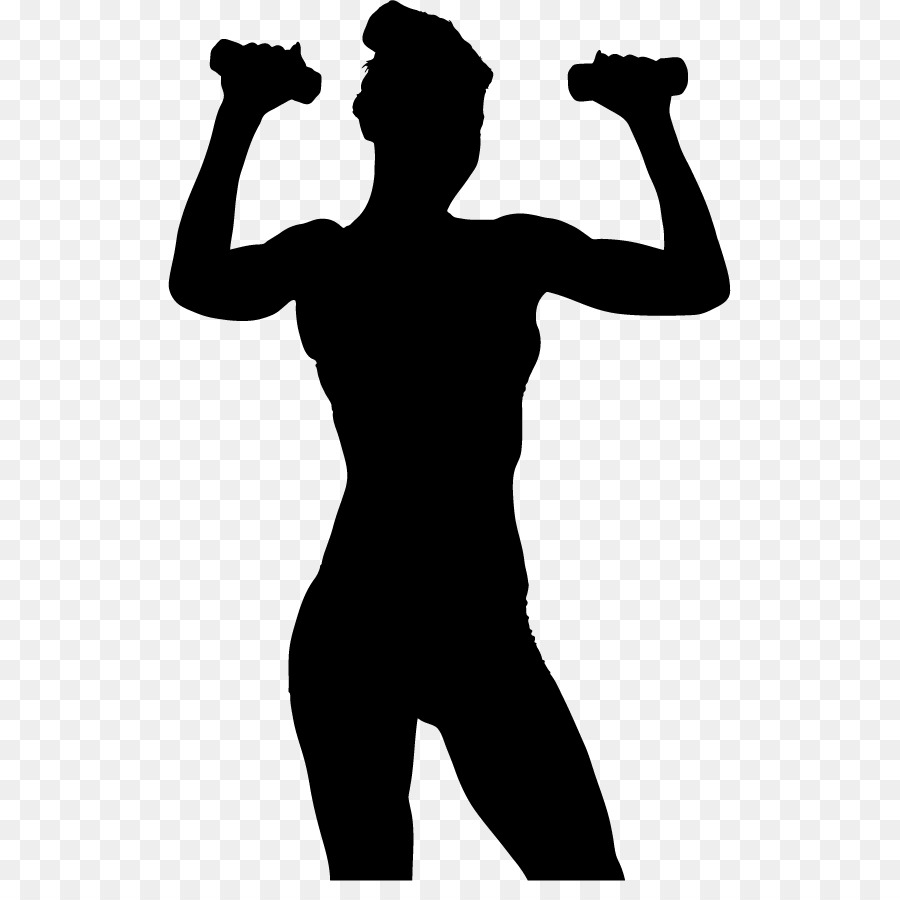 Download Weight training Olympic weightlifting Dumbbell Physical exercise Silhouette - female fitness png ...