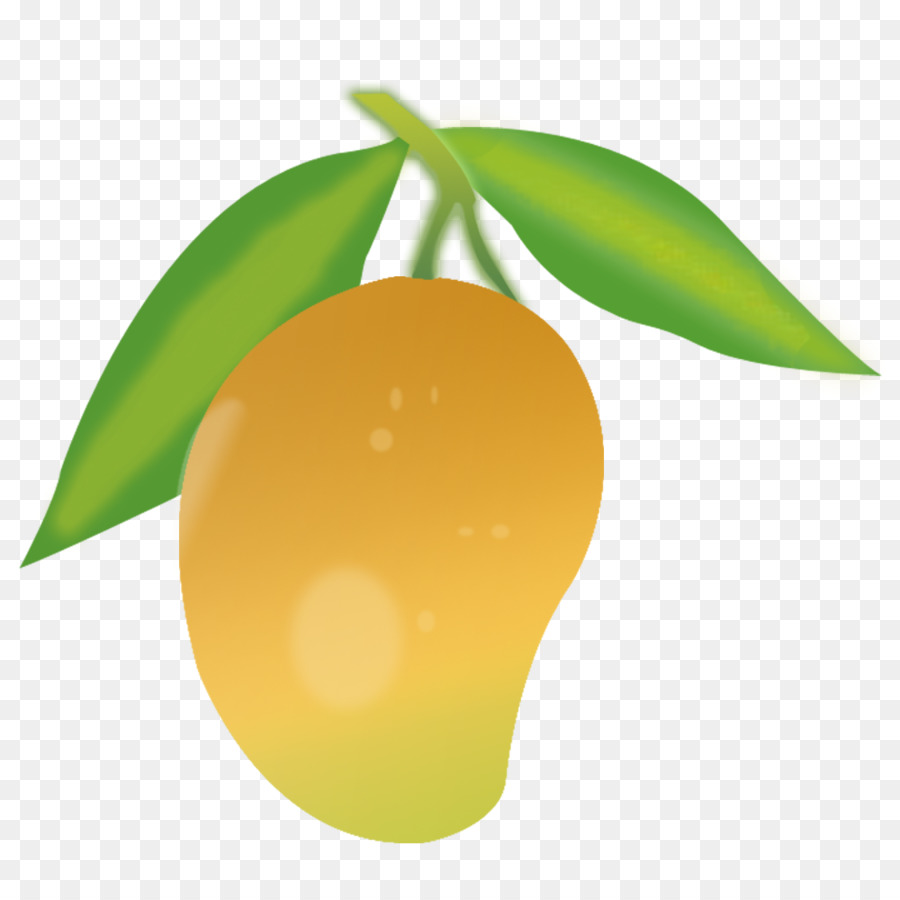 Mango Clip art - green mango png download - 1000*1000 - Free