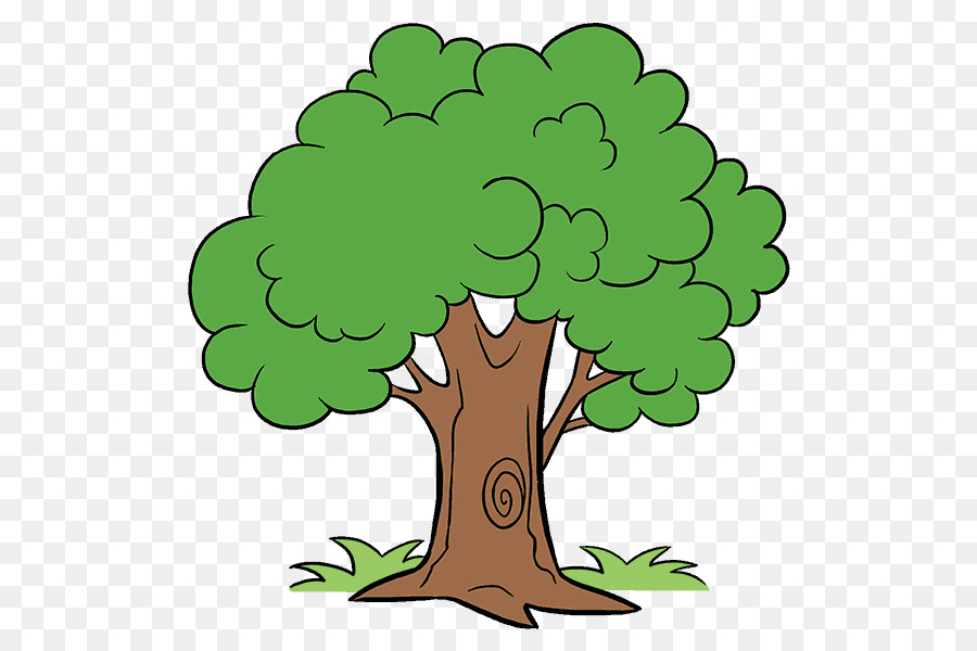 Drawing Cartoon Tree Clip art - tree-lined png download - 678*600