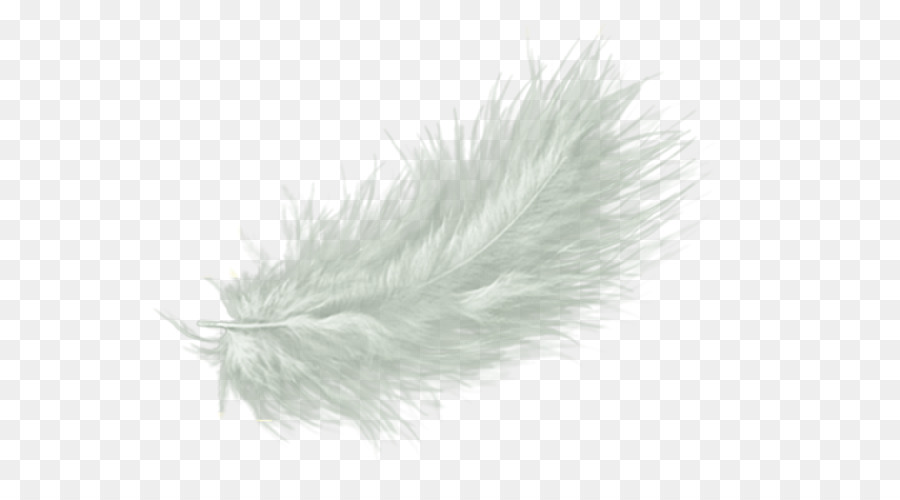 White feather Drawing Clip art - white angel feather png 