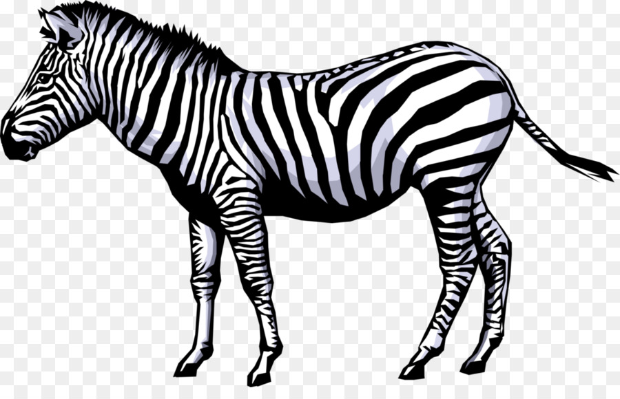 cartoon elements png download - 1119*700 - Free Transparent Zebra png