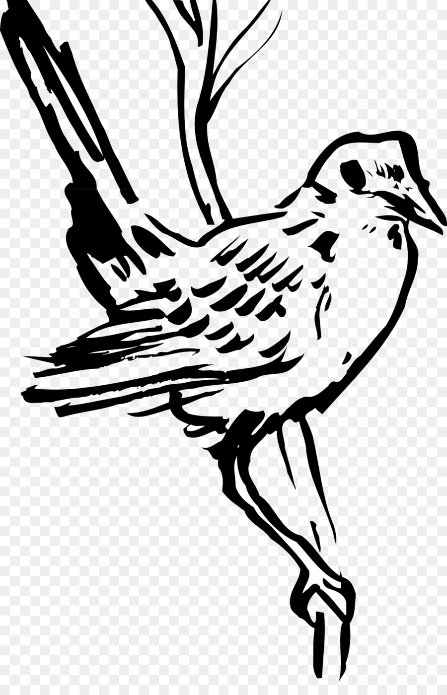 Burung Sayap Paruh Bulu Clip Art Gambar Bulu Unduh Garis Seni