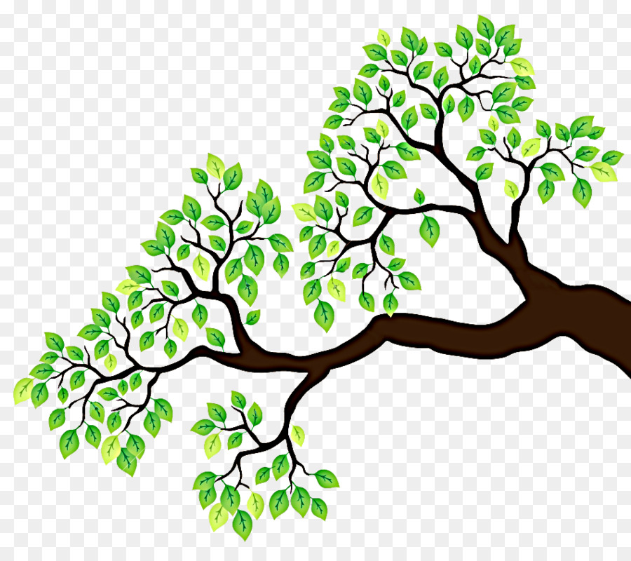 Branch Tree Drawing Clip art - branches clipart png download - 950*835