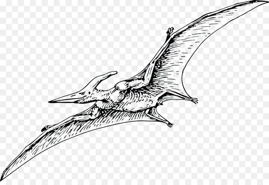 pteranodon pterodáctilo