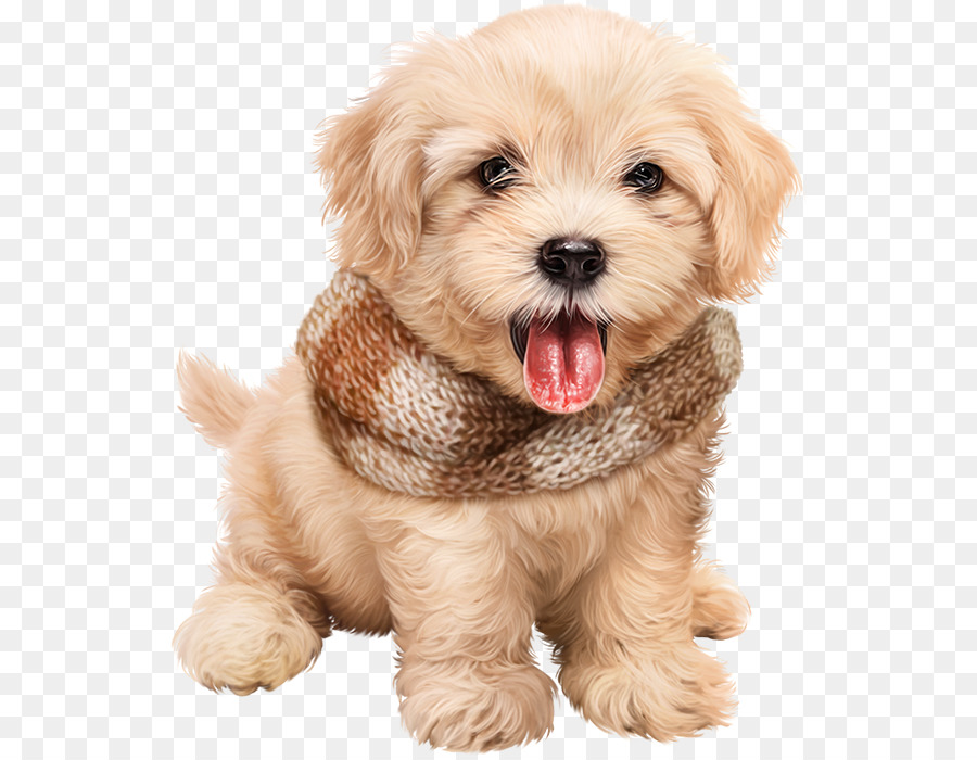 Dog Puppy Desktop Wallpaper Tart Clip Art Dog Png Download 586