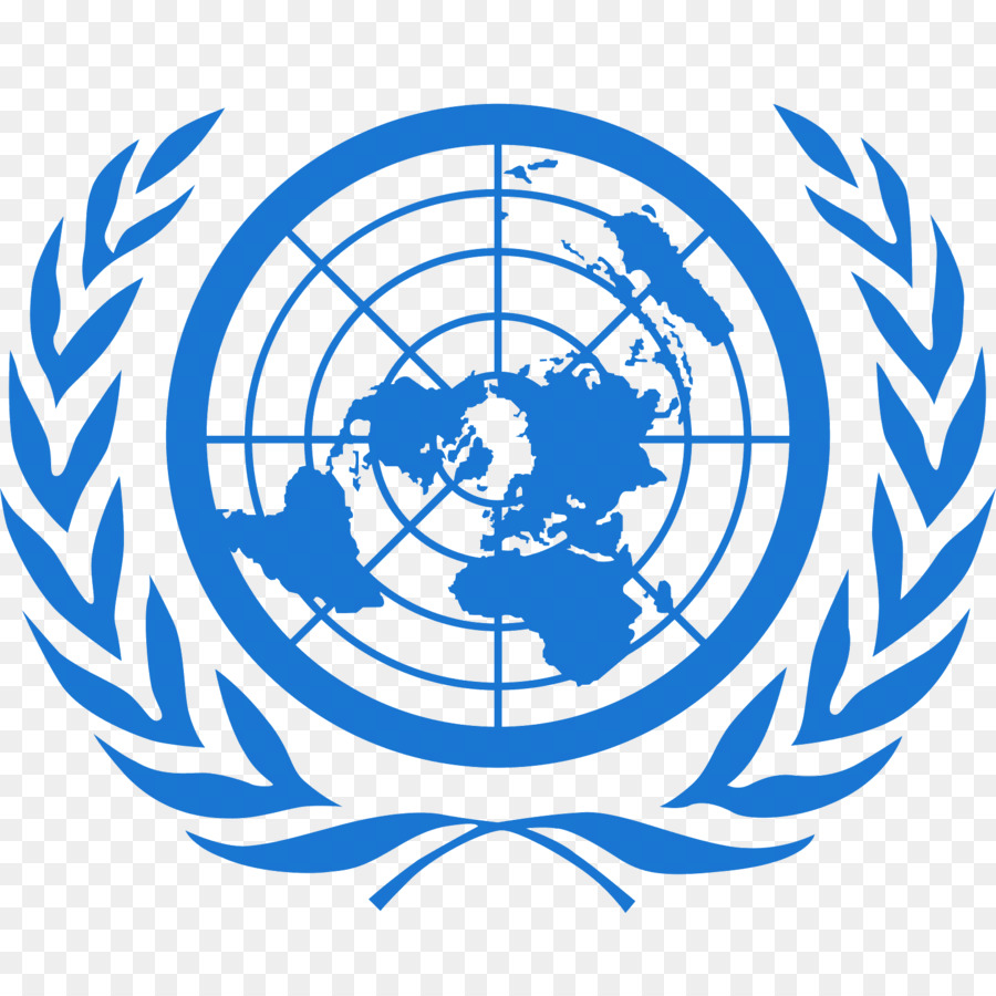 office des nations unies  u00e0 nairobi  l u0026 39 unicef mod u00e8le de drapeau des nations unies  de l