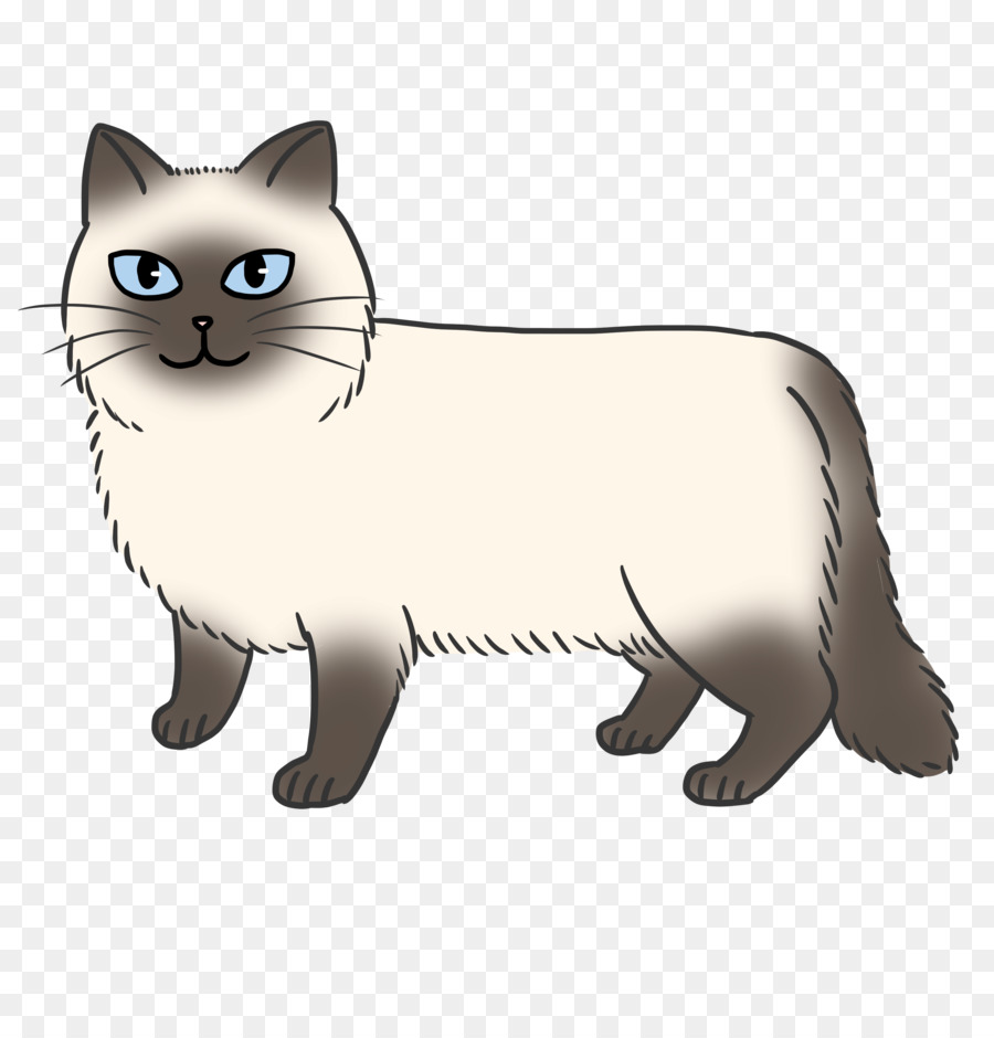 Manx Cat Whiskers Himalayan Cat Kitten Domestic Short Haired Cat