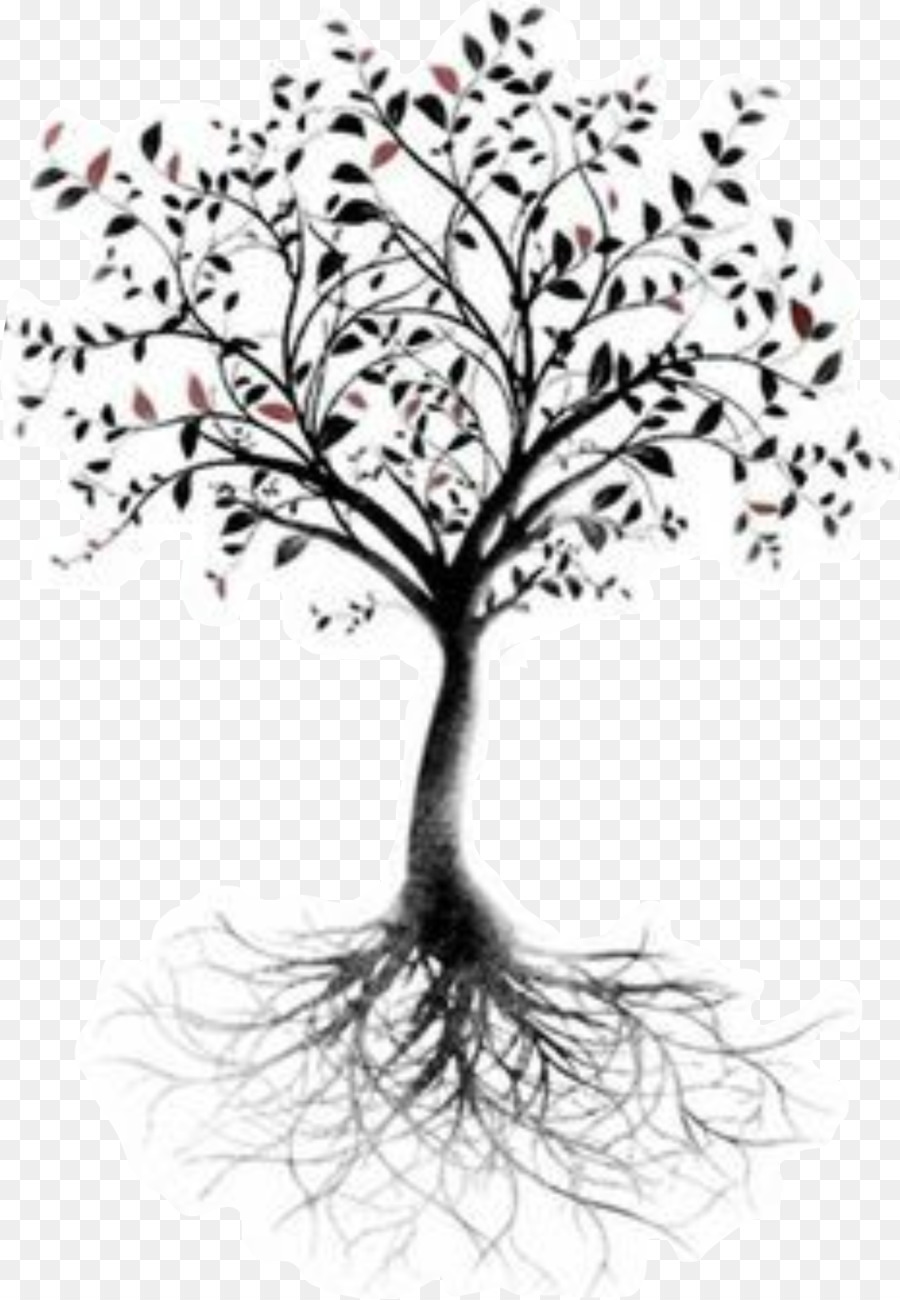 Pohon Kehidupan Root Tato Cabang Pohon Png Unduh 10641536