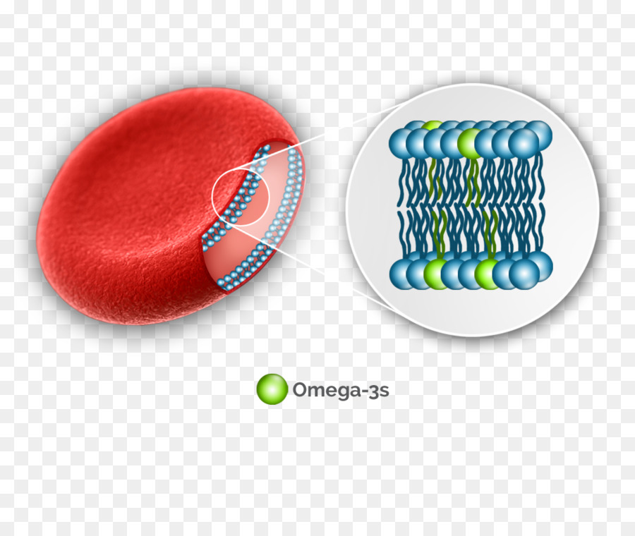 Resultado de imagen de fotos de  las celulas omega 3