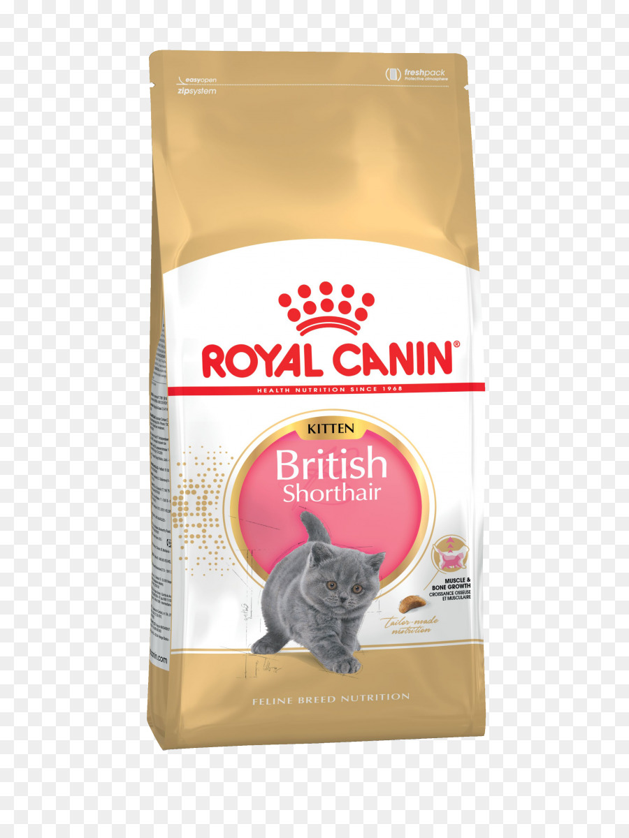 Persian Cat Cat Food British Shorthair Kitten Ragdoll Kitten Png