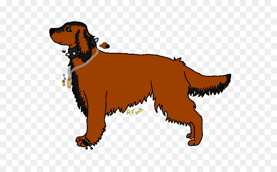 Setter Irlandais Nova Scotia Duck Tolling Retriever Chiot De