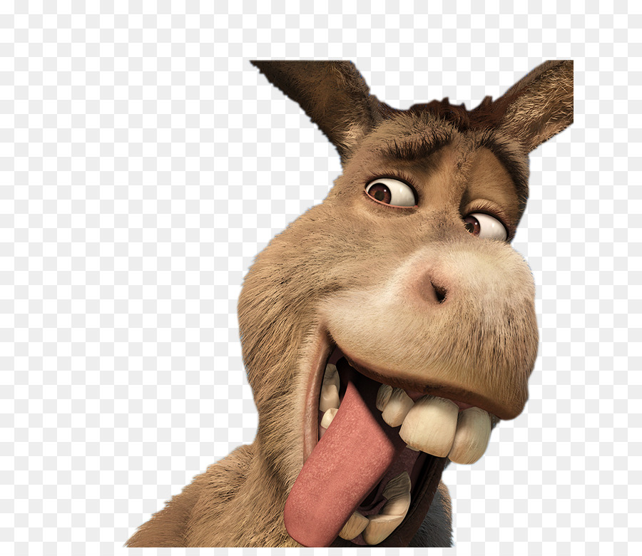 0 Result Images of Donkey From Shrek Smiling Png - PNG Image Collection