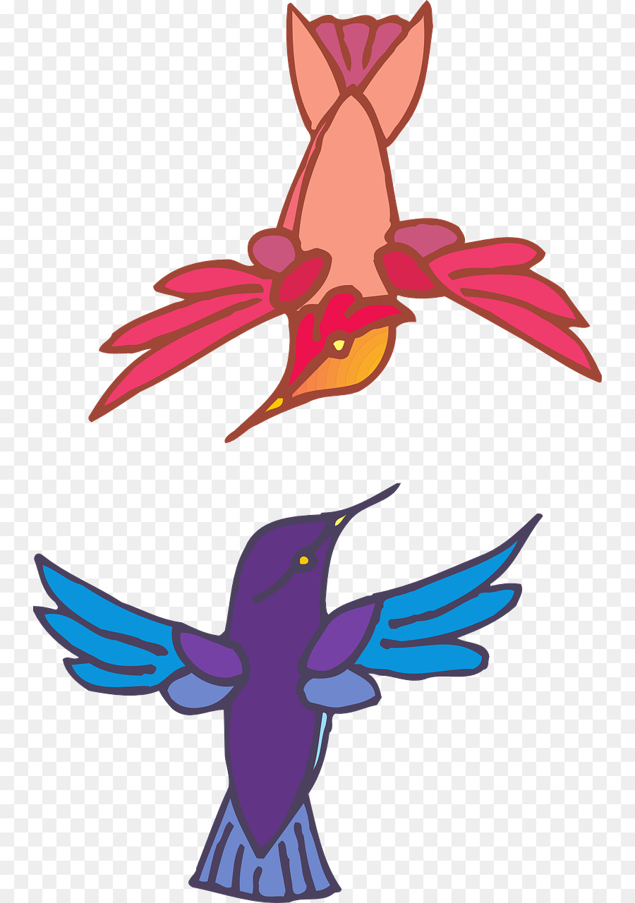 Colibri Bec Clip Art Oiseau Téléchargement Png 8061280