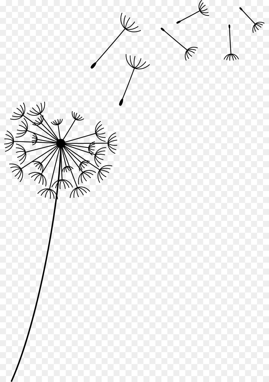 Gambar Bunga  Dandelion  Hitam Putih Gambar Bunga 