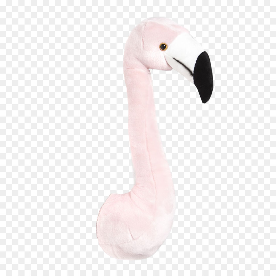 Gambar Burung Flamingo Pink Gambar Burung