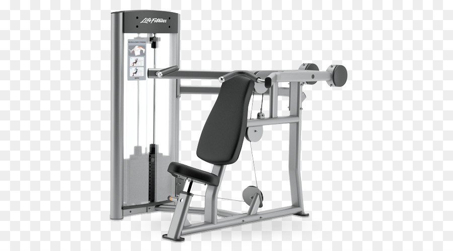 Life Fitness Bench Press banqthelove