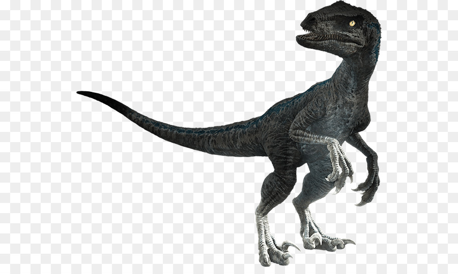 jurassic world fallen kingdom velociraptor