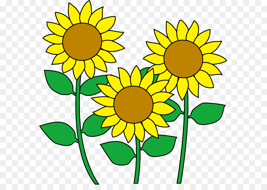 Sunflower Cartoon Pictures Wallpaperall