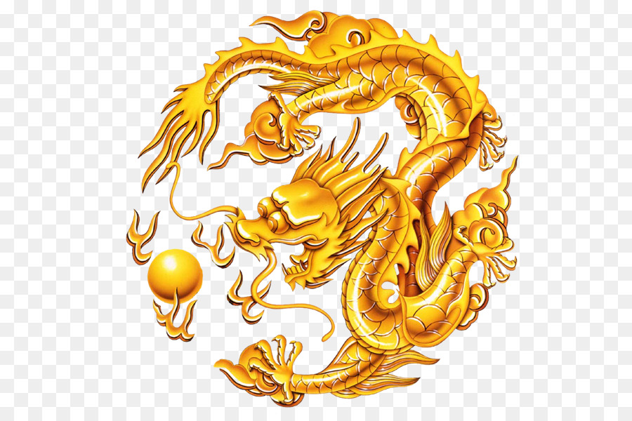 Chinese dragon China The Song of the Golden Dragon ASIA HAI