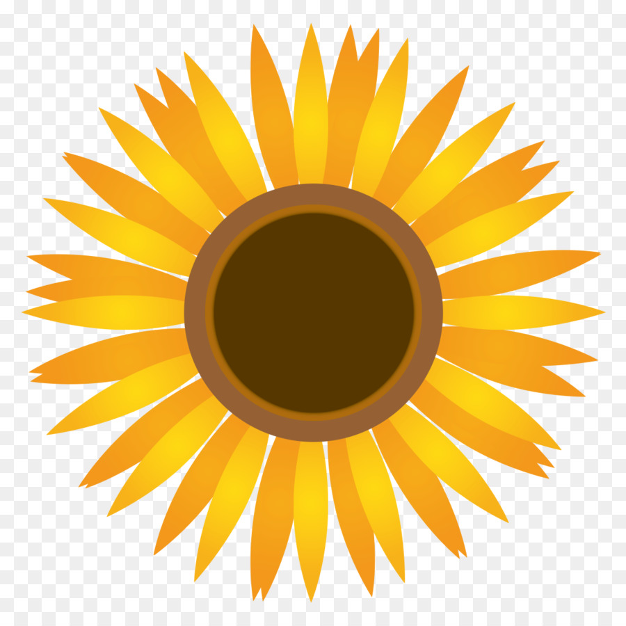 Sonnenblume Zeichnen