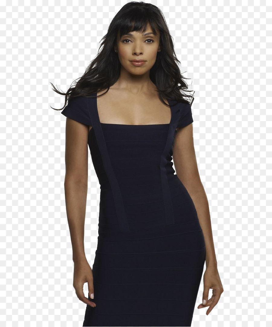 Tamara Taylor ghost whisperer