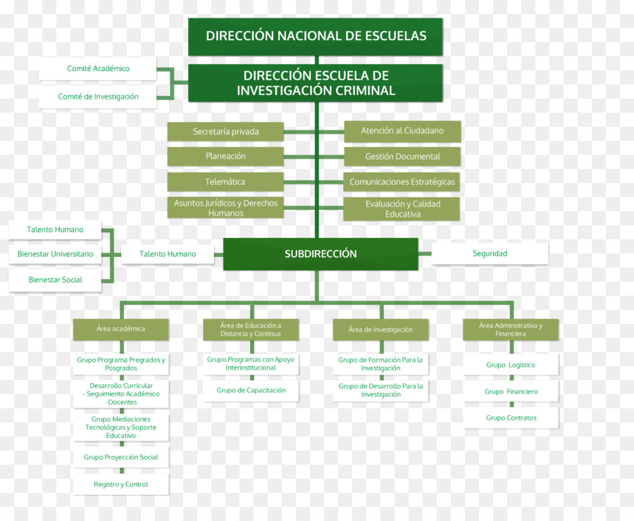 Whs Organization Chart