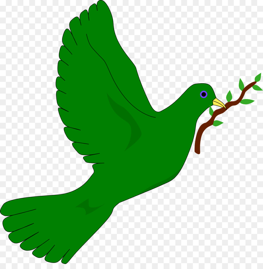 Burung Merpati Sebagai Simbol Umum Emerald Dove Clip Art Burung