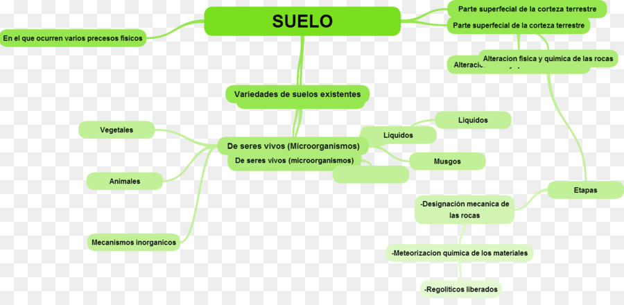 Ejemplos Y Plantillas De Cuadros Sinopticos Lucidchart