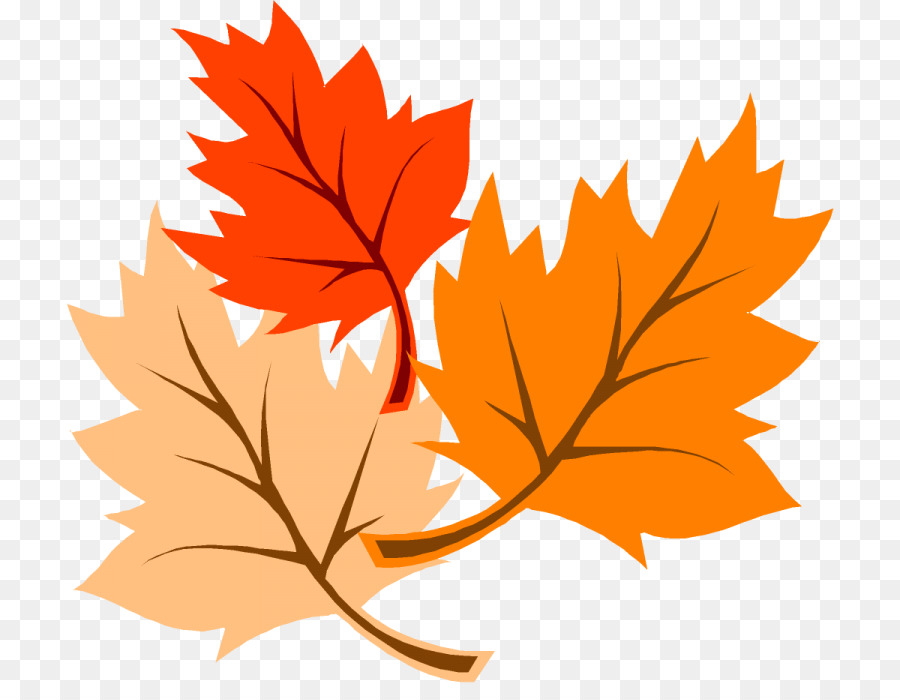 Herbst Blatt Farbe Thanksgiving-clipart - Herbst png herunterladen