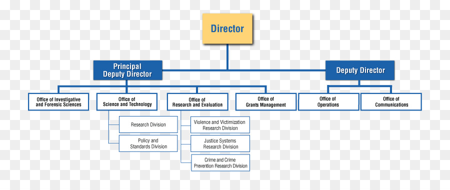 Diagram Of Organizational Chart