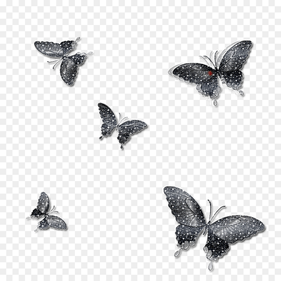 Черные бабочки на прозрачном фоне
