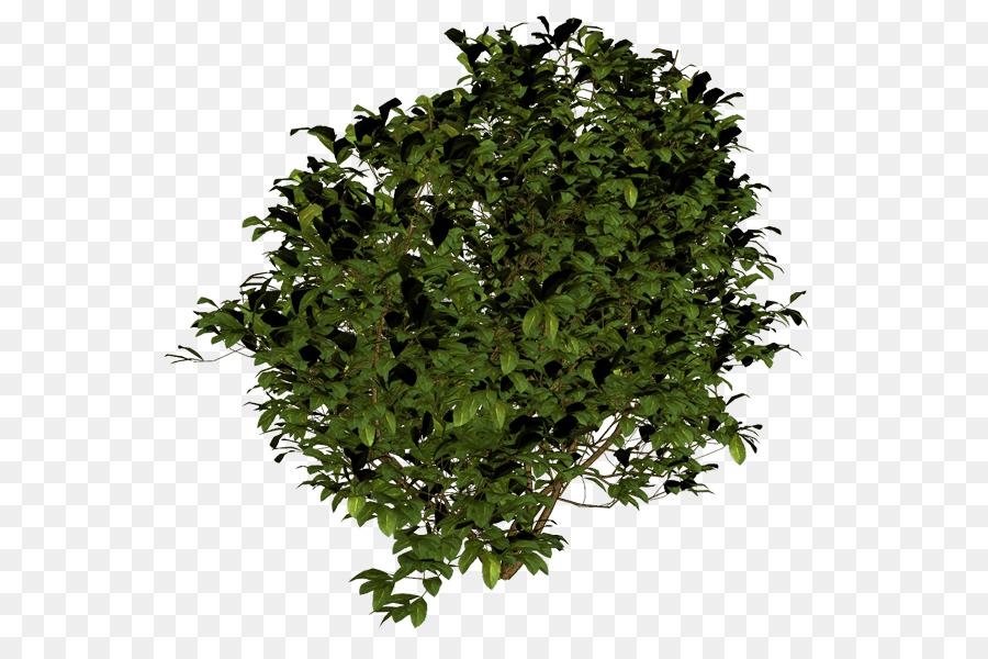 Fortnite Tree Png - 300 V Bucks