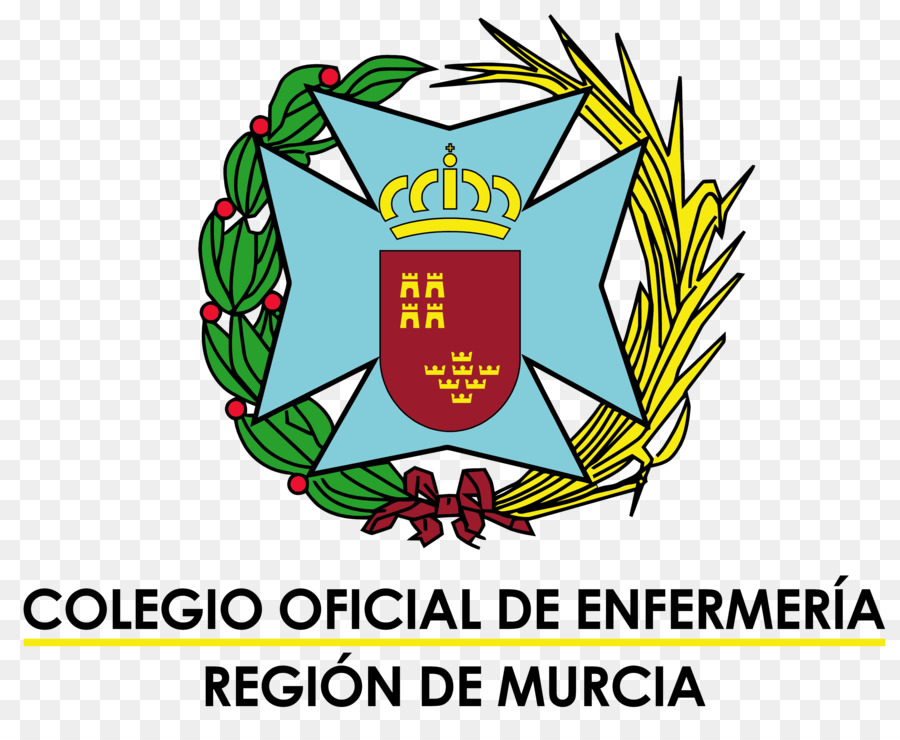 El Colegio Oficial De Enfermeria De La Region De Murcia Nursing School Escuela De Formacion Complementaria Del Ejercito De Enfermeria Familiar Y Comunitaria La Escuela Png Dibujo Transparente Png Dibujo