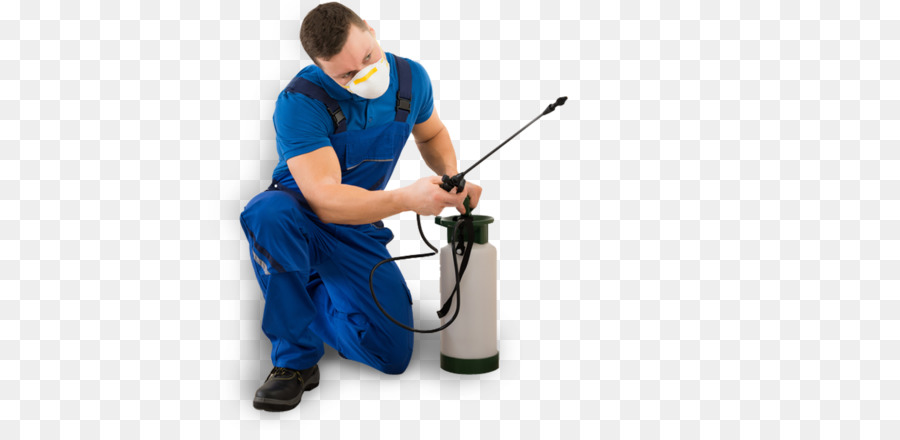 Pest Exterminator | Pest Control