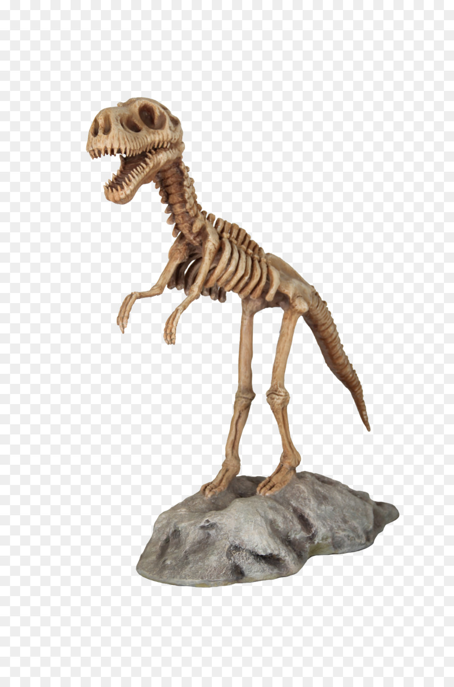 Tyrannosaurus Velociraptor Patung Hewan Darat T Rex Kerangka