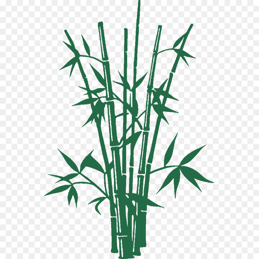 Gambar Ilustrasi Pohon Bambu  Iluszi