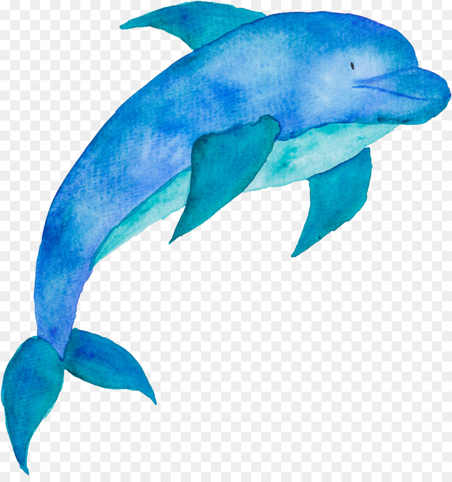 Portable Network Graphics Clip Art Poster Cetacea Ilustrasi Lumba