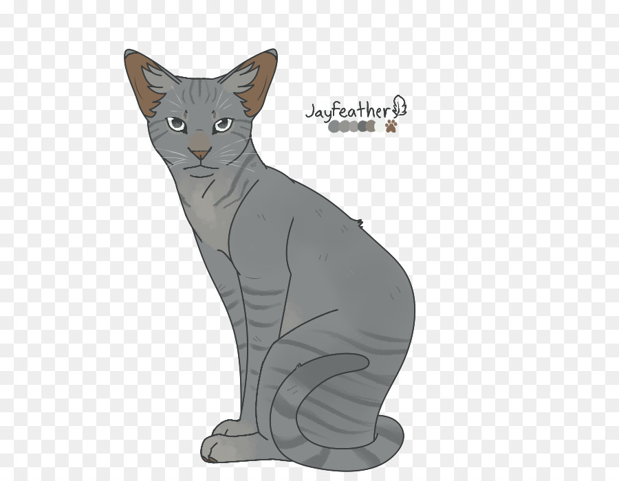 Korat European Shorthair Chartreux Burmese Cat California Spangled