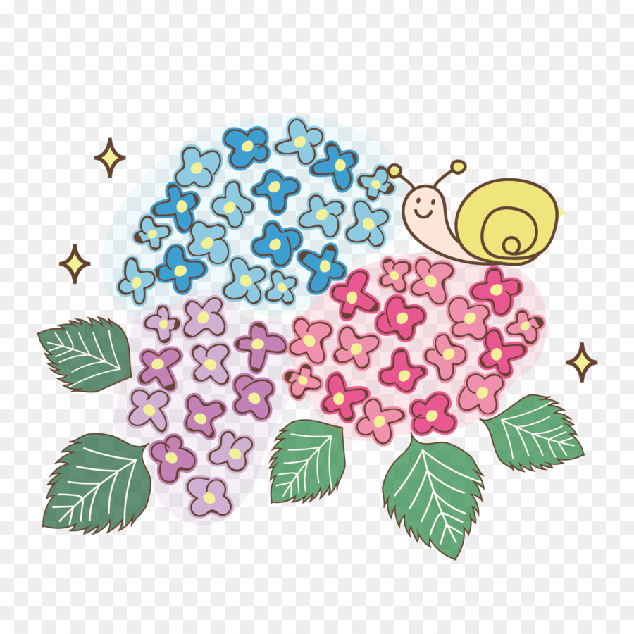 Perancis Hydrangea Asia Timur Musim Hujan Ilustrasi Desain Bunga