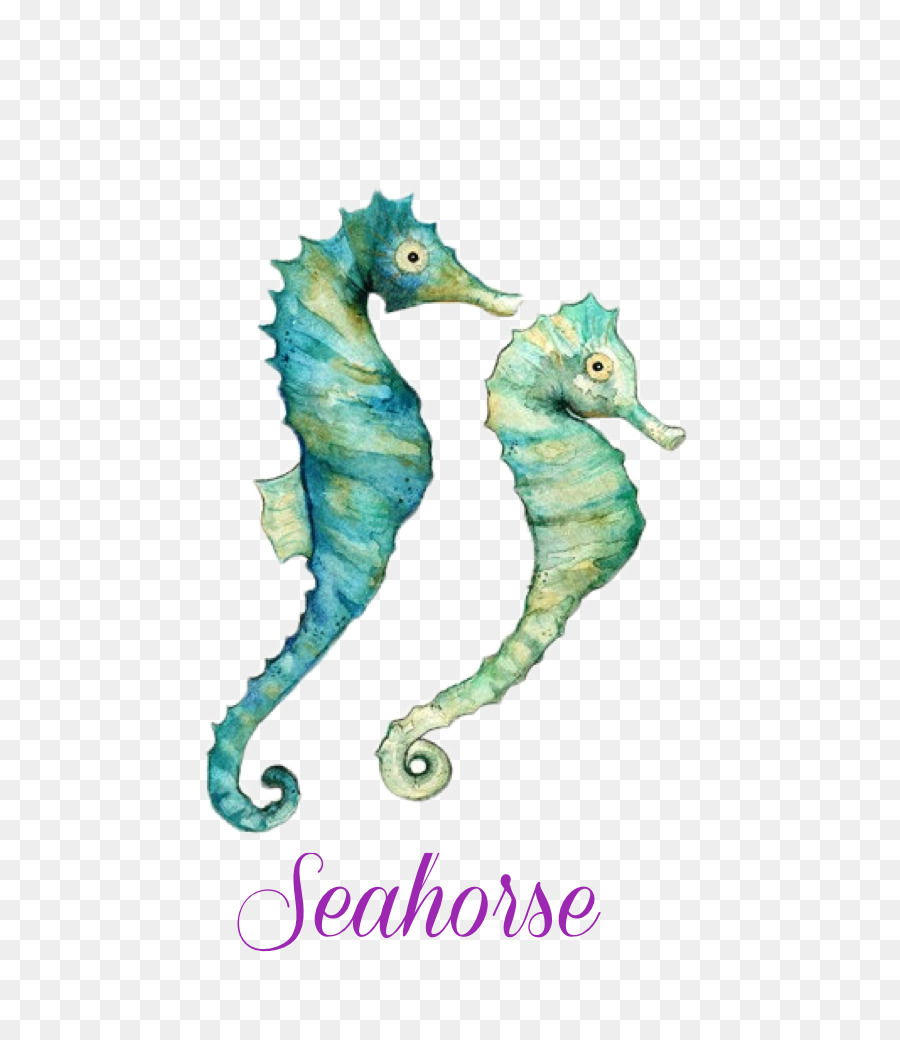 Seahorse Lukisan Cat Air Seni Kuda Laut Unduh Kuda Laut