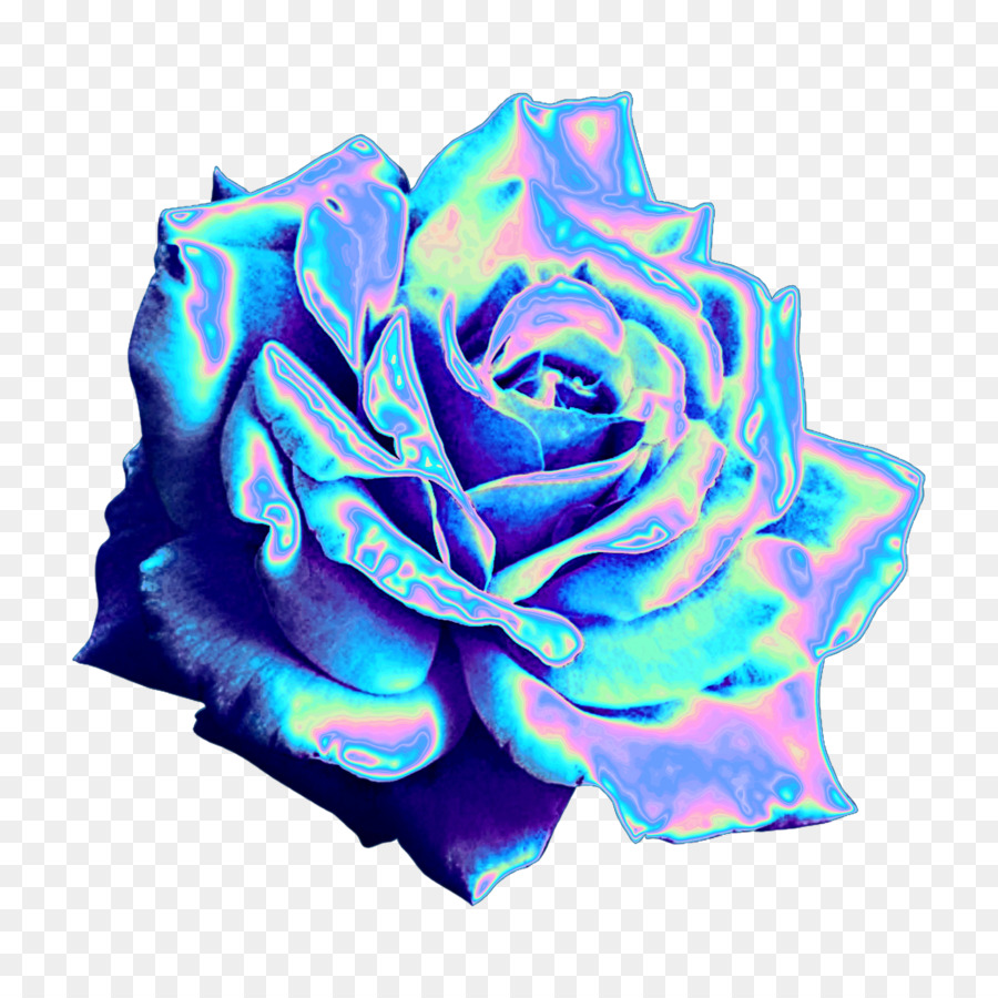 Gambar Estetik Bunga Mawar - Gambar Bunga