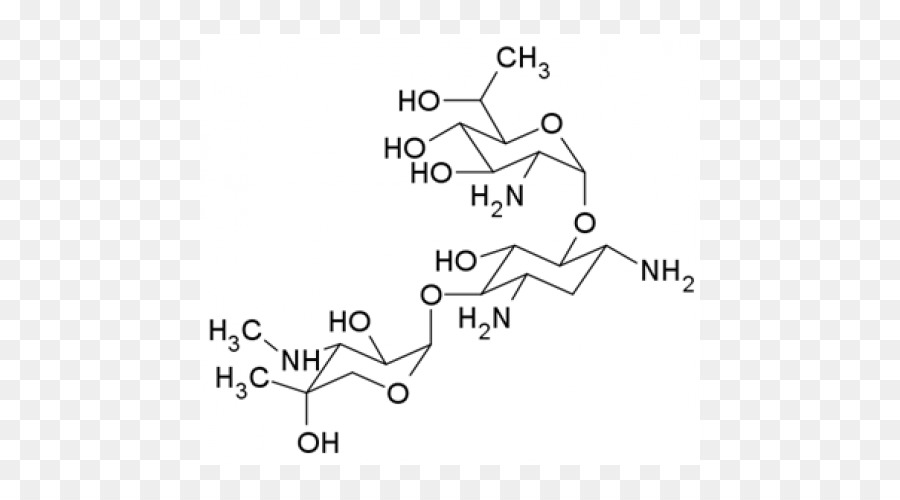 G418 Neomycin Technology Phosphoric acid Angle - Eukaryotic Cell png