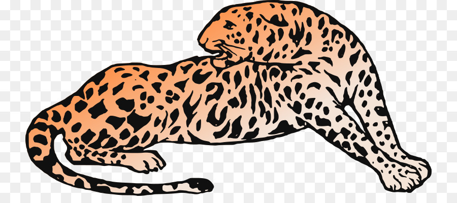 Gambar Hewan  Jaguar  Gambar Hewan 