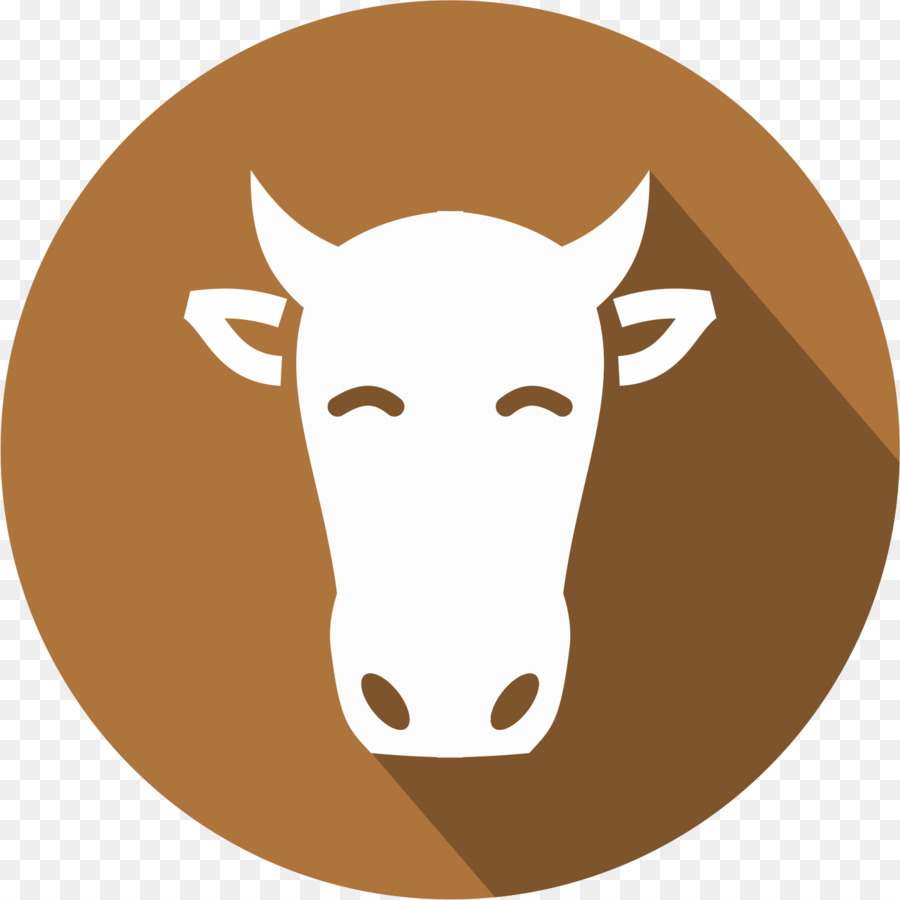 Gambar Sapi  Clip Art Gambar Putih