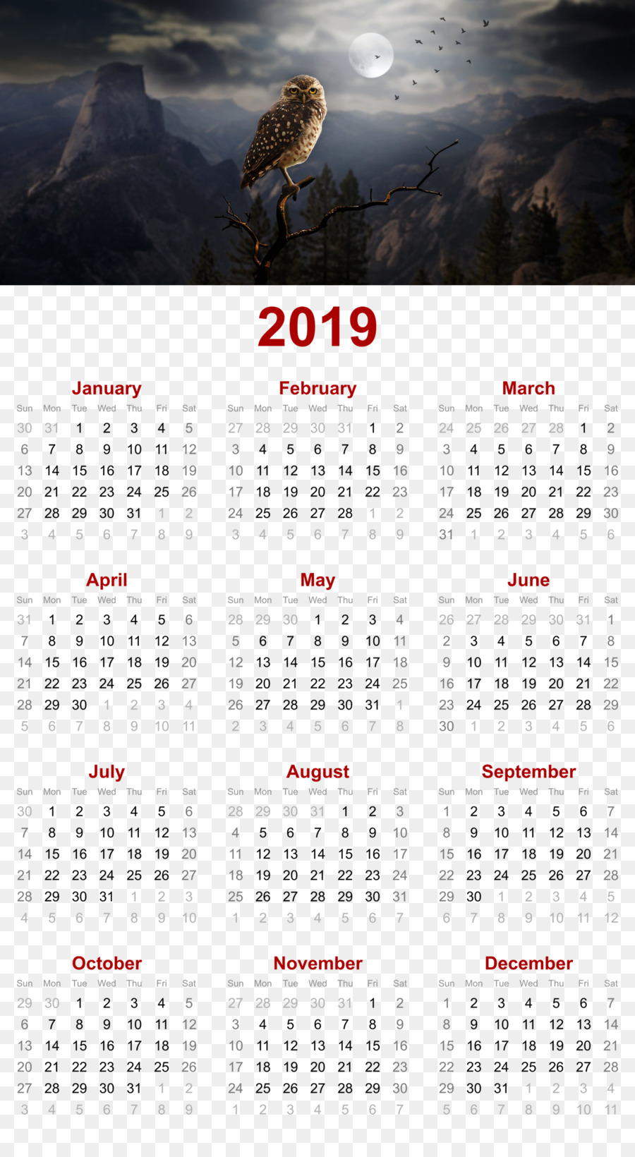 2019 Printable Calendar Burung Hantu Di Malam Hari Desainpng