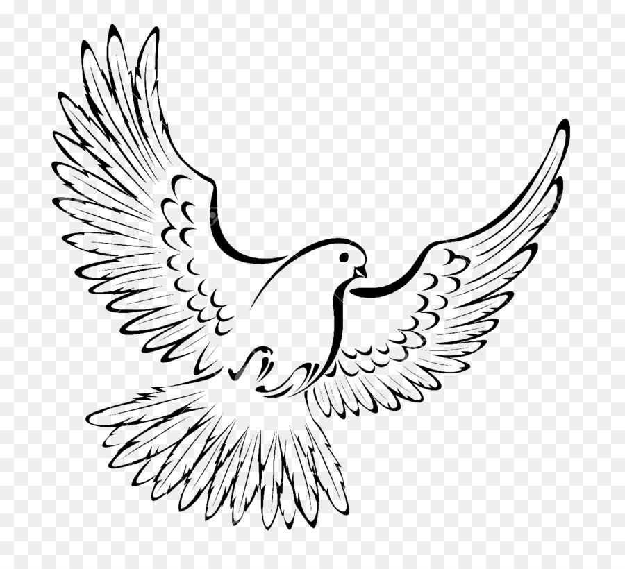 Logo Burung Merpati Vektor  DAVID BAPTISTE CHIROT