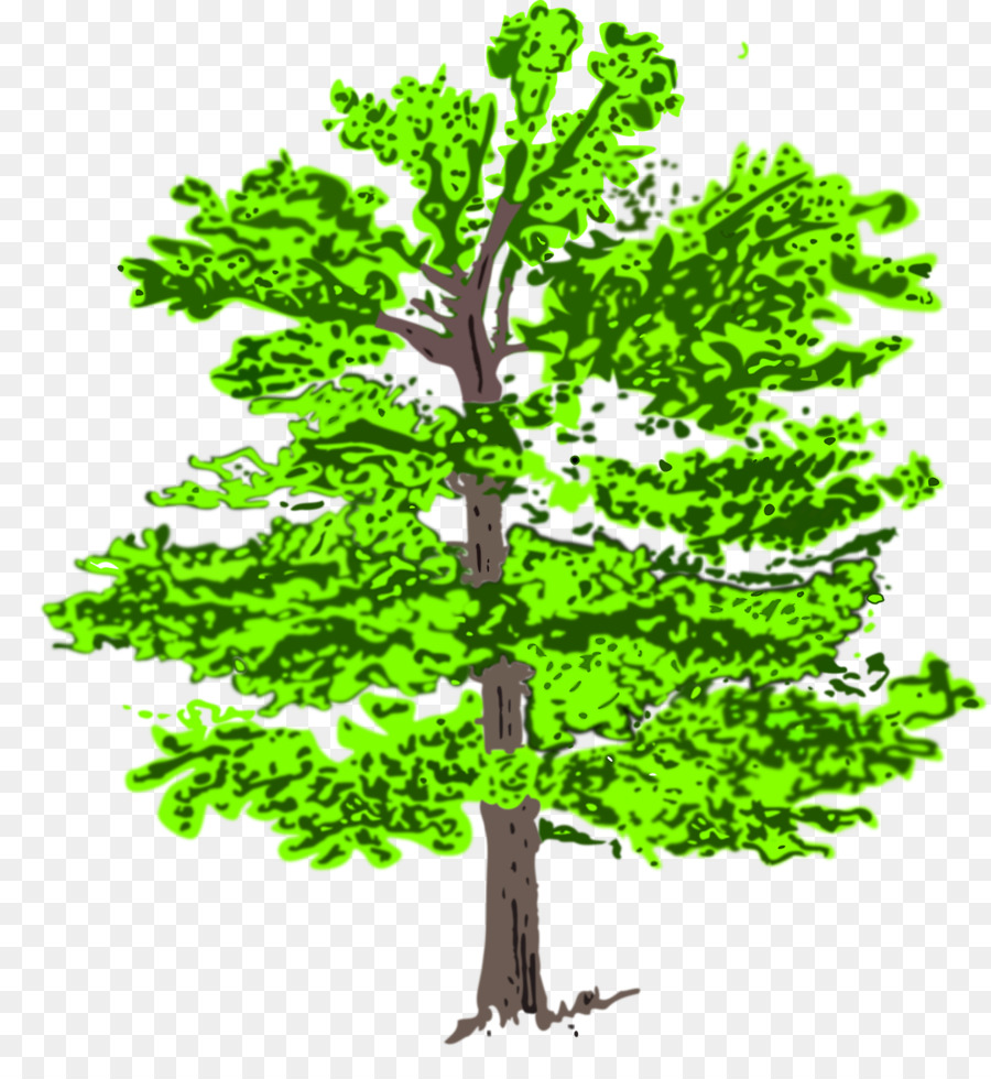 Gambar Ilustrasi Penanaman Pohon Hilustrasi