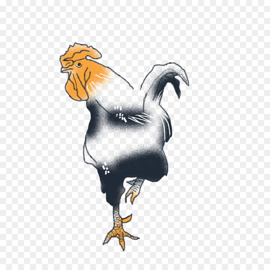 Ayam Burung Pemangsa Paruh Ilustrasi Burung Unduh Burung Ayam